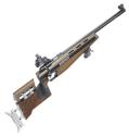 sa c ma carabine